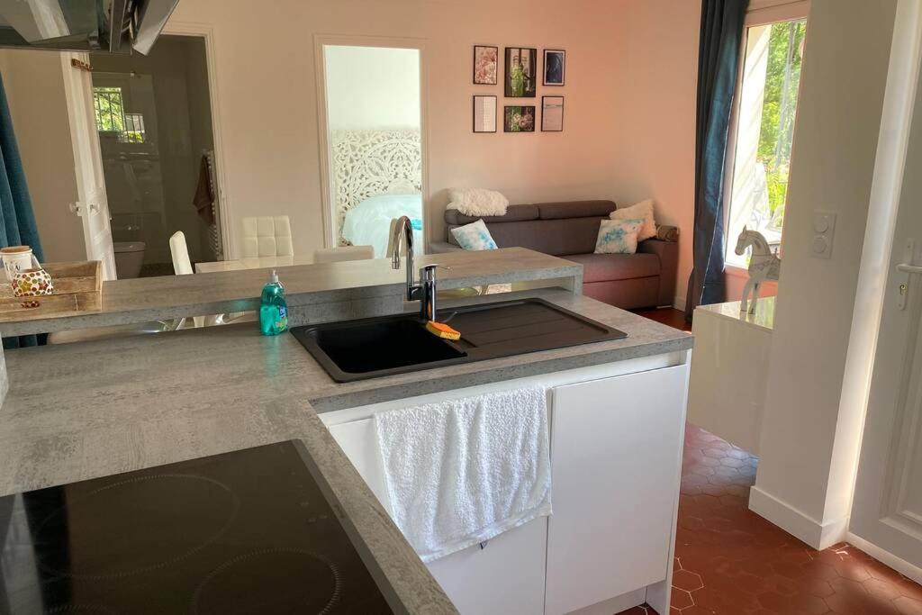 Petite Maison De Charme - Le Jardin Secret D'Alice Roquebrune-sur Argens Exterior foto