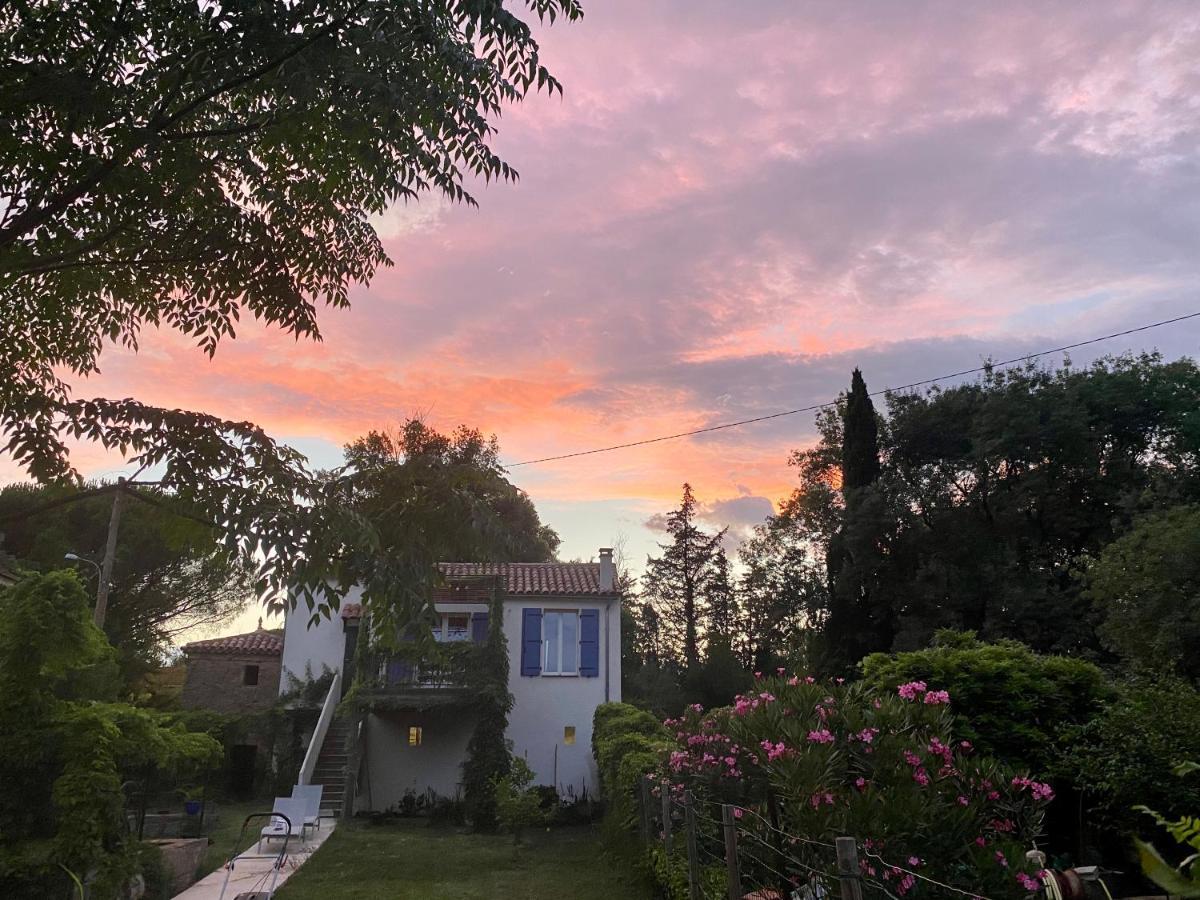 Petite Maison De Charme - Le Jardin Secret D'Alice Roquebrune-sur Argens Exterior foto
